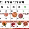 올해 홍릉숲 단풍 관측이래 가장 늦어