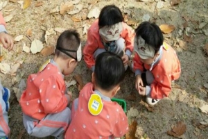 숲에서 왕처럼 놀자