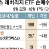 2배 수익 유혹에… 개미들 몰리는 ETF