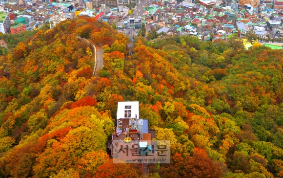 남산타워서 바라 본 서울의 가을 