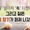 [카드뉴스] ‘툭’ 떨어져 ‘톡’ 터졌다. 그리고 짙은 가을향기가 퍼져 나갔다