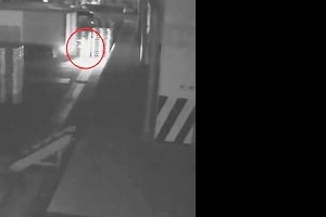 낮에는 운송기사로, 심야에는 팔레트 1만여장 상습 절취한 범인 검거