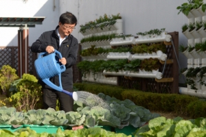 노원구청사는 ‘녹색도시 실험실’