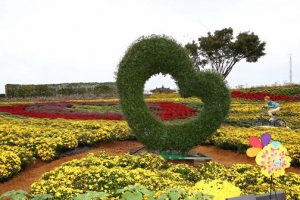 깊어가는 가을, 화순서 맛의 향연 즐기고 국향에 취하세요