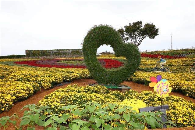 전남 화순군 남산공원에서 27일부터 다음달 6일까지 열리는 ‘2016 화순 도심 속 국화향연’에서는 대형 국화 작품이 전시된다. 화순군 제공