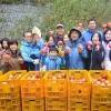 농협銀, 영주 사과 수확 일손 돕기