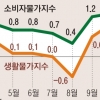 배추 143%·무 139% 올라… 생활물가는 ‘들썩’