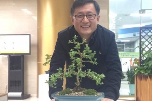 국화 꽃 핀 노원구청… “꽃말서 공직자 덕목도 배워”