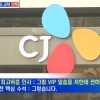 청와대. CJ 이미경 부회장 퇴진까지 압력 넣었나
