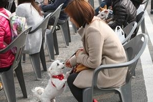 ‘말썽쟁이 반려견’과 평생을 함께하는 비법