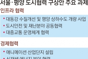 서울시가 그려본 ‘미래 평양’