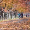 서울의 가을을 달리다