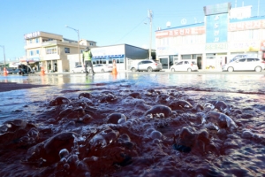 슈퍼문의 위력… 목포 바닷물 역류