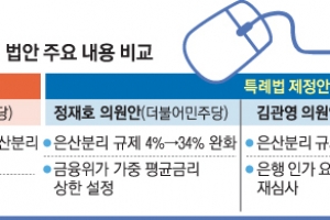 물꼬 튼 인터넷은행 은산분리 완화…  ‘5년마다 재심사’ 특례법안은 논란