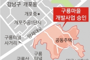 강남 개포동 판자촌 2020년 아파트촌 변신한다
