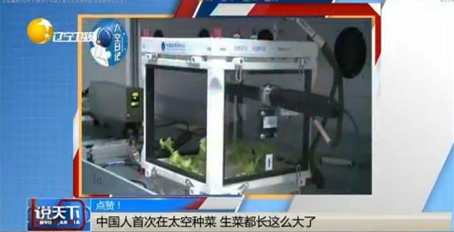 중국 우주 상공에서 이용하는 식물(상추) 재배 장치. 중국 CCTV 캡처 