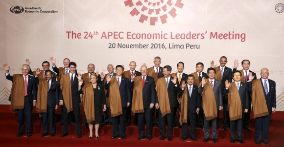 기념촬영하는 APEC 정상회의 21개국 지도자들