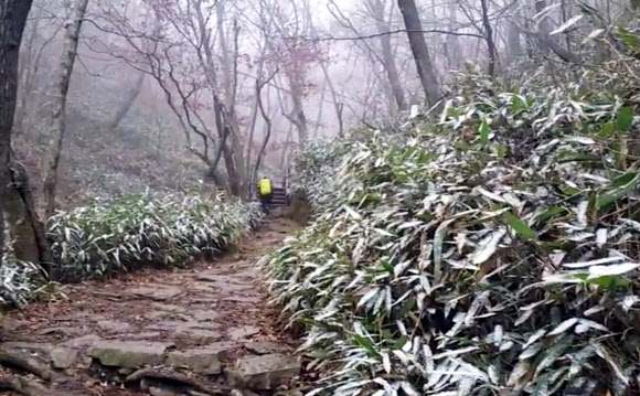 중부 내륙의 속리산국립공원에 22일 첫눈이 내렸다. 국립공원관리공단 속리산사무소에 따르면 이날 오전 천왕봉·문장대·묘봉·대야산 등 해발 800? 이상의 고지대에 하얗게 눈이 내려 쌓였다.  속리산사무소 제공=연합뉴스