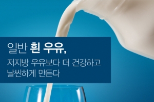 캐나다 미카엘병원 연구팀 “일반 우유, 저지방 우유보다 다이어트에 더 도움”