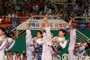 경기 안양시, ‘2017 세계태권도한마당’ 유치…60여개국 참여