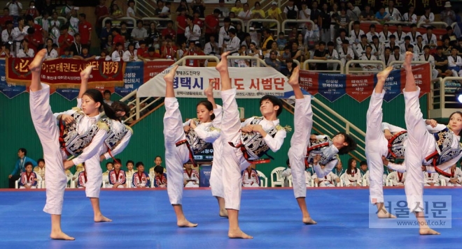 경기 평택에서 열린 2015 세계태권도한마당의 태권체조경연. 안양시 제공 