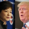 한심과 안심 사이…박근혜와 트럼프의 공약 파기 경쟁