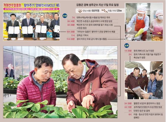 김항곤(오른쪽) 성주군수가 지역 특산품인 참외 대체작물로 육성 중인 딸기 재배농가를 방문해 생육 상태를 확인하고 있다. 성주군 제공