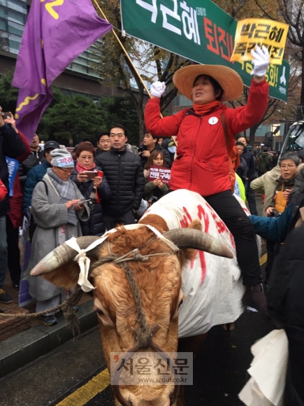 광화문에 등장한 소