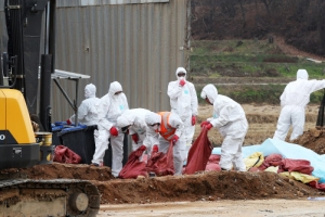 경기지역 AI 양성 5건 추가 발생, 충북은 2014년 피해를 넘어설 듯