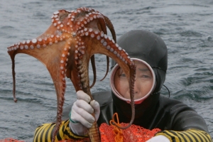 ‘고용연장 끝판왕’ 제주 해녀