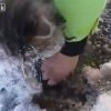 꽁꽁 언 강물 위 발 얼어붙은 고양이 구조