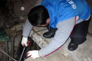 서울 마포구, 겨울 모기와 전쟁 중