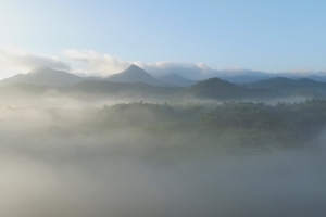 신찬호, 전남 보물찾기 영상콘테스트 최우수상 수상