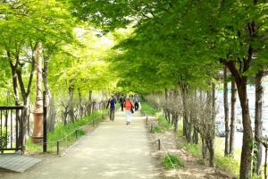 백로·잉어 돌아온 구로 ‘환경부 그린시티’ 수상