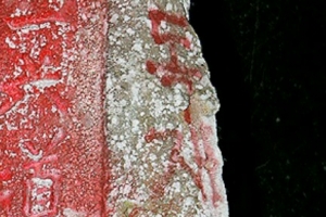 제주 516도로 기념비 붉은 글씨로 ‘독재자‘ 써서 훼손해