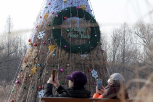 억새로 만든 희망트리