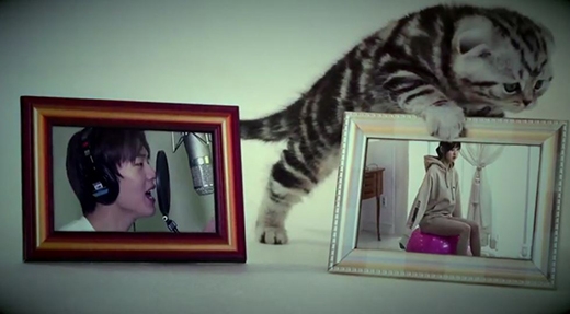 앤씨아 봄에 오면 괴롭힐 거예요 MV