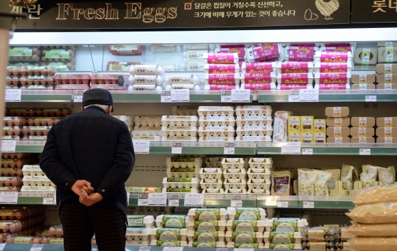 전국적으로 번진 AI영향으로 시중 계란의 유통량이 줄어든 26일 서울의 한 대형마트에서 시민들이 계란을 고르고 있다. 2016.12.26 박지환기자 popocar@seoul.co.kr