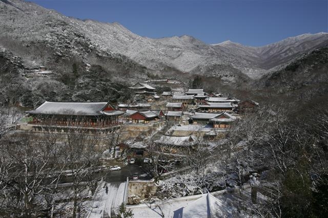 많은 사찰을 거느린 지리산에서 가장 큰 화엄사. 동양 최대 목조건물 각황전과 석등 4사자 3층 석탑 등 대표 국보 문화재를 보유하고 있다.  구례군 제공