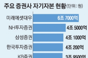 [2016 경제정책 그 후] M&A 등 기초 닦기 전에… 증자로 ‘IB 몸집 불리기’ 급급