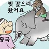 돈 대신 코끼리로 나랏빚 갚는다는데…