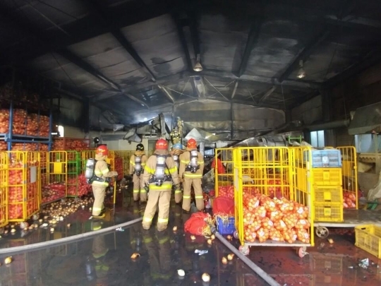 대구 팔달신시장서 불…20여분 만에 진화