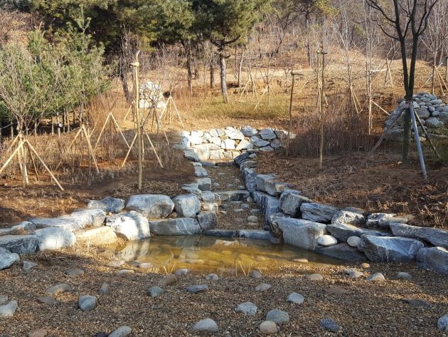 생태연못 조성 후.