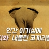 [카드뉴스] 인간 이기심에 ‘퇴화’ 내몰린 코끼리들