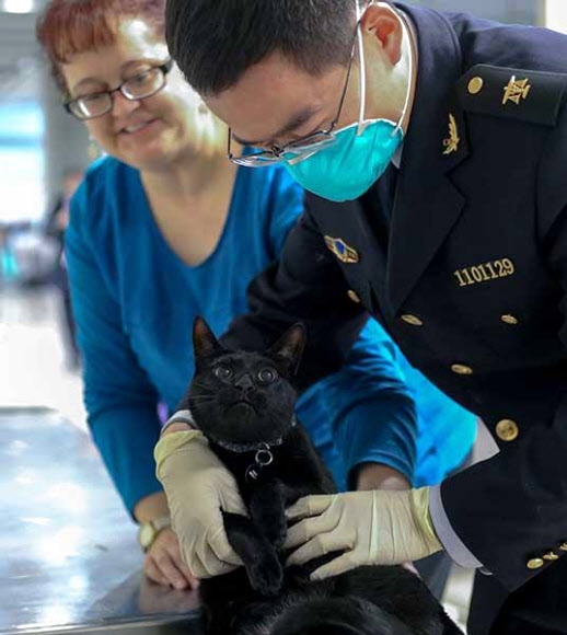 중국 베이징 공항에 반입된 애완고양이