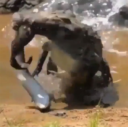 nature.lux Instagram