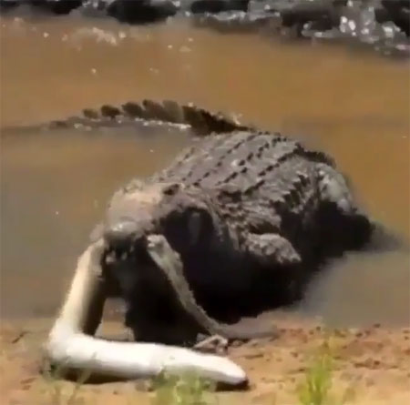 nature.lux Instagram