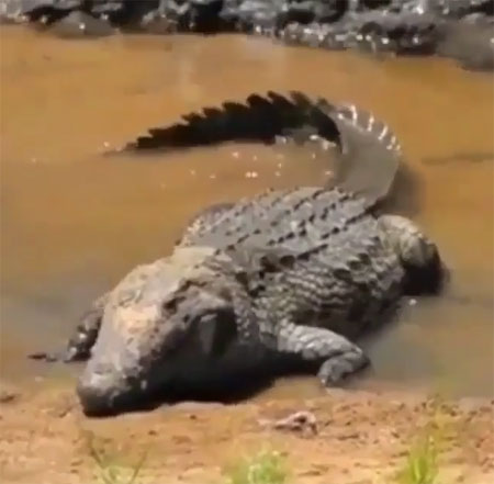 nature.lux Instagram