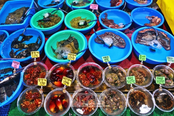 주문진 시장에 진열된 다양한 해산물.