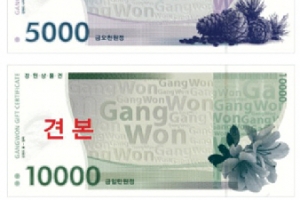 첫 광역단체 화폐 강원상품권 지자체들 보이콧에 반쪽 효과